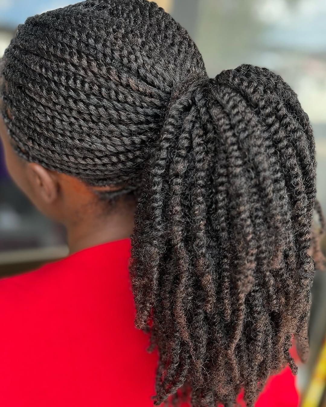 Braided ponytail back view