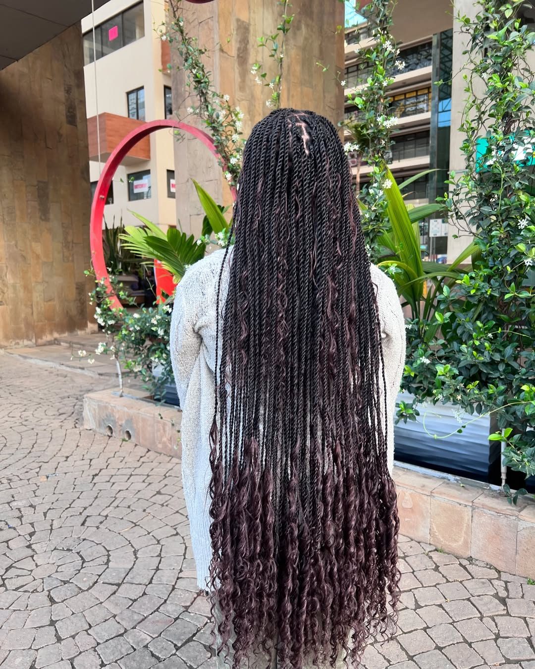 Long burgundy braids back view